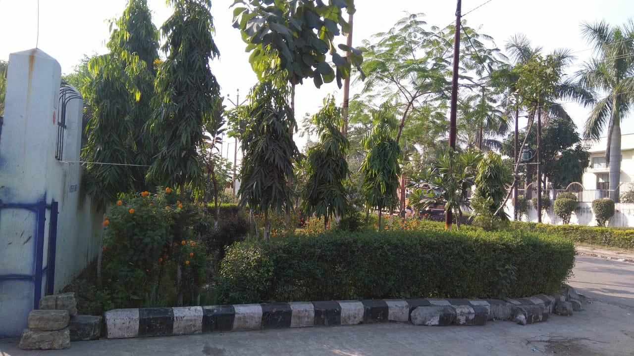 Rudrapur Uttrakhand — photograph 3 of 10
