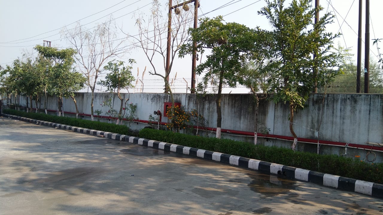 Rudrapur Uttrakhand — photograph 5 of 10